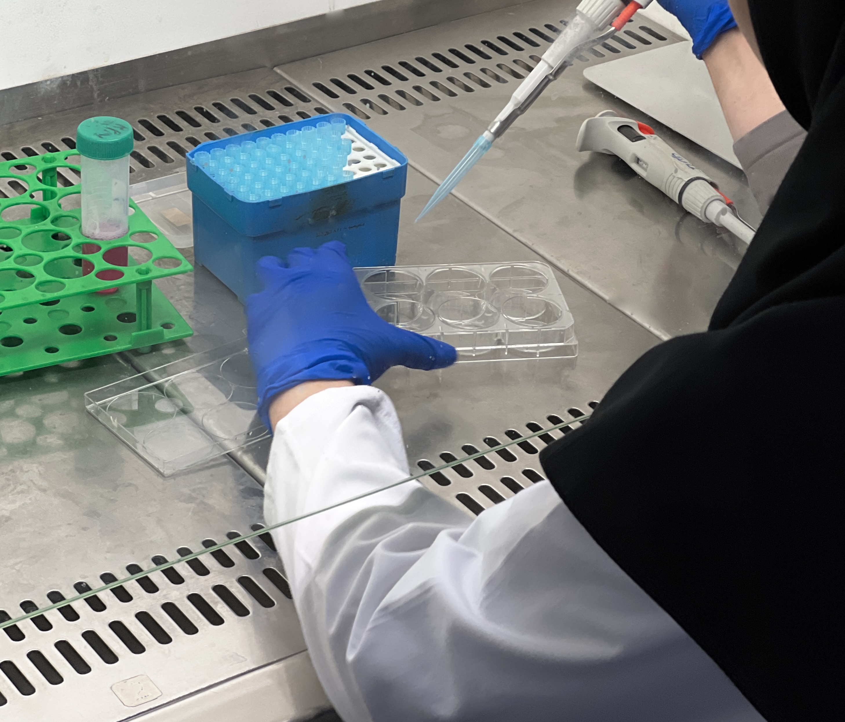 اهمیت مطالعات زیست‌شناسی سلولی و مولکولی