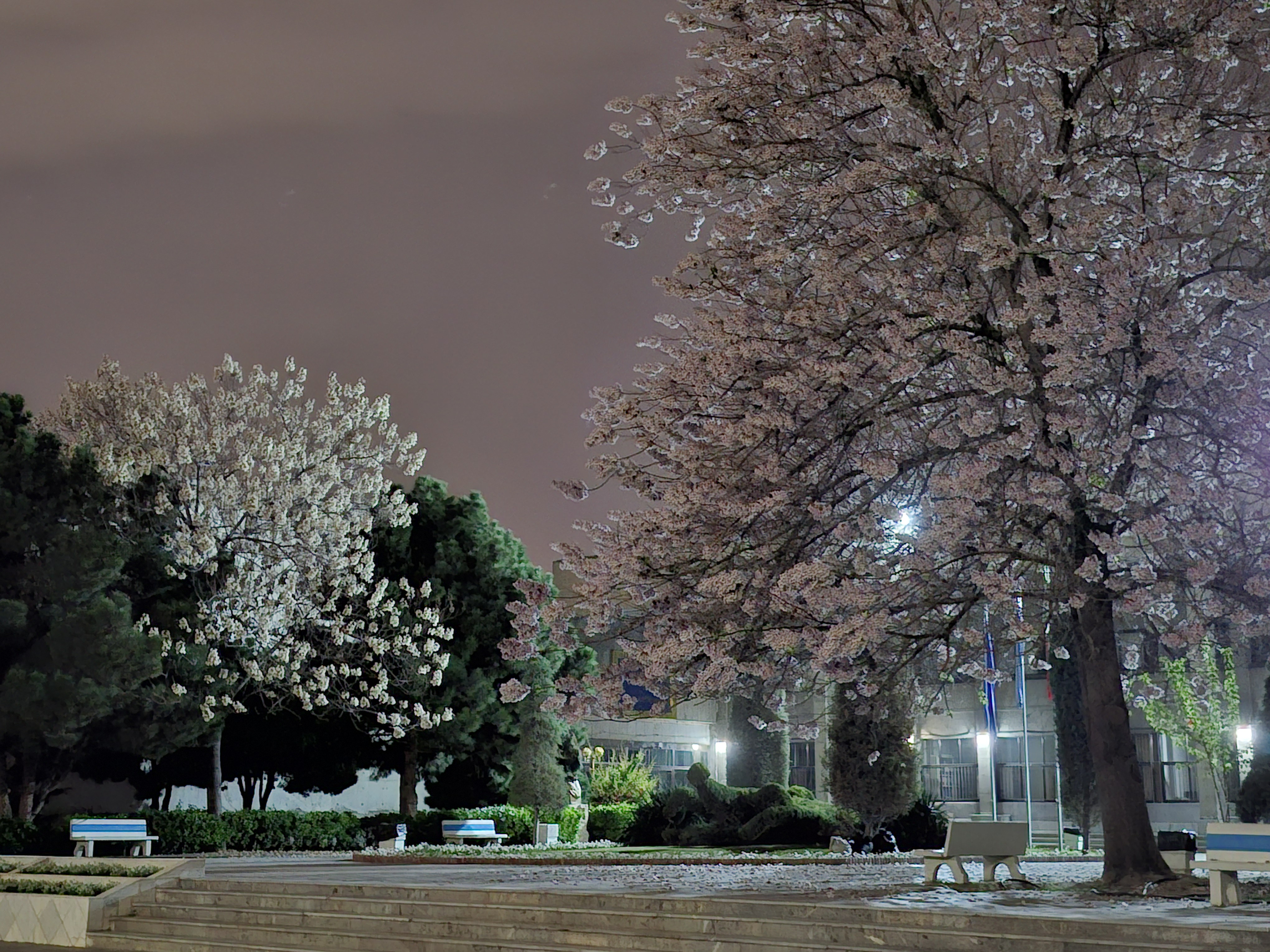 گروه زیست شناسی دانشکده علوم دانشگاه فردوسی