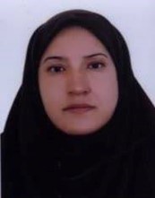 کارشناس دوم