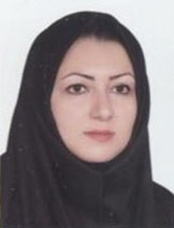 کارشناس دوم