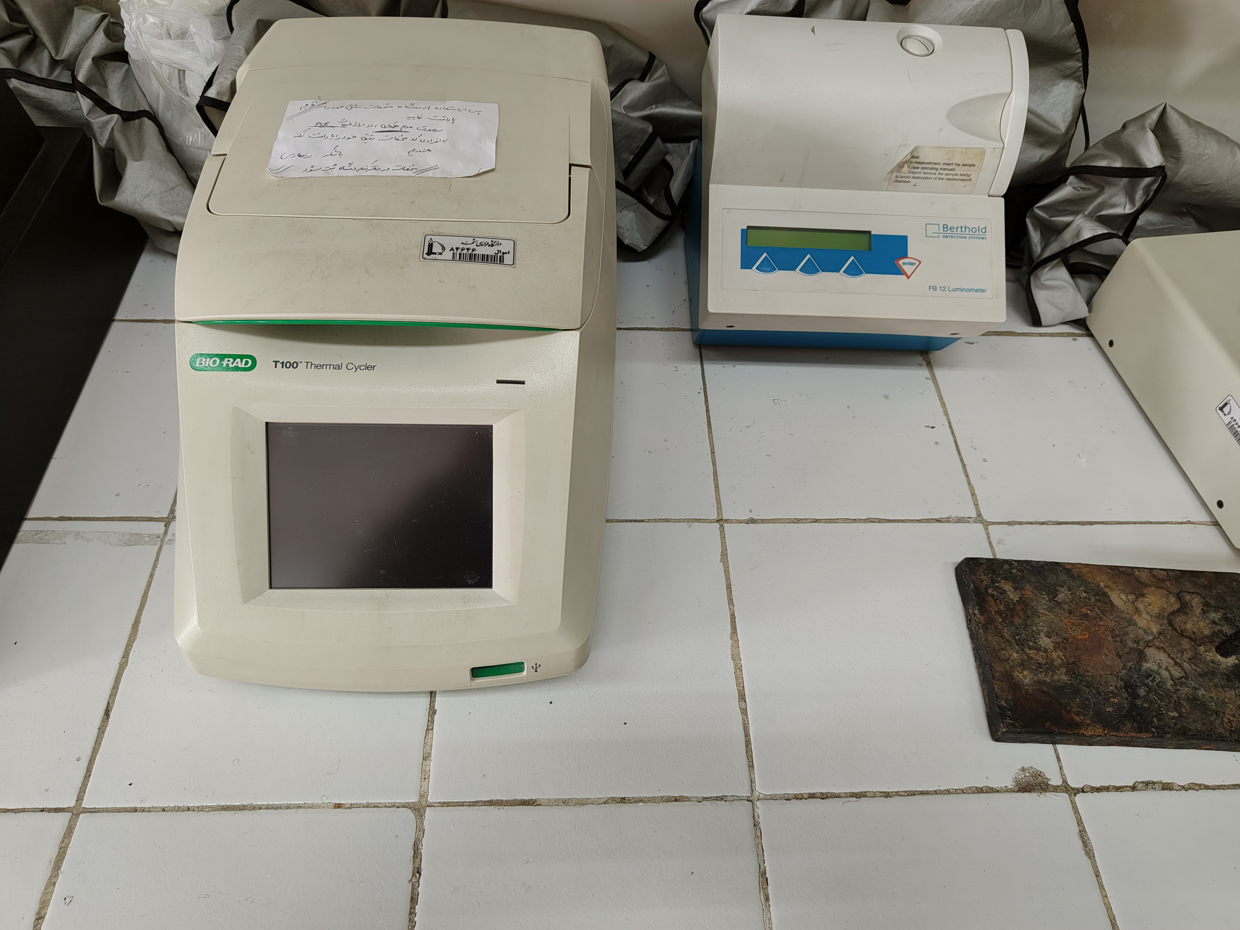 PCR