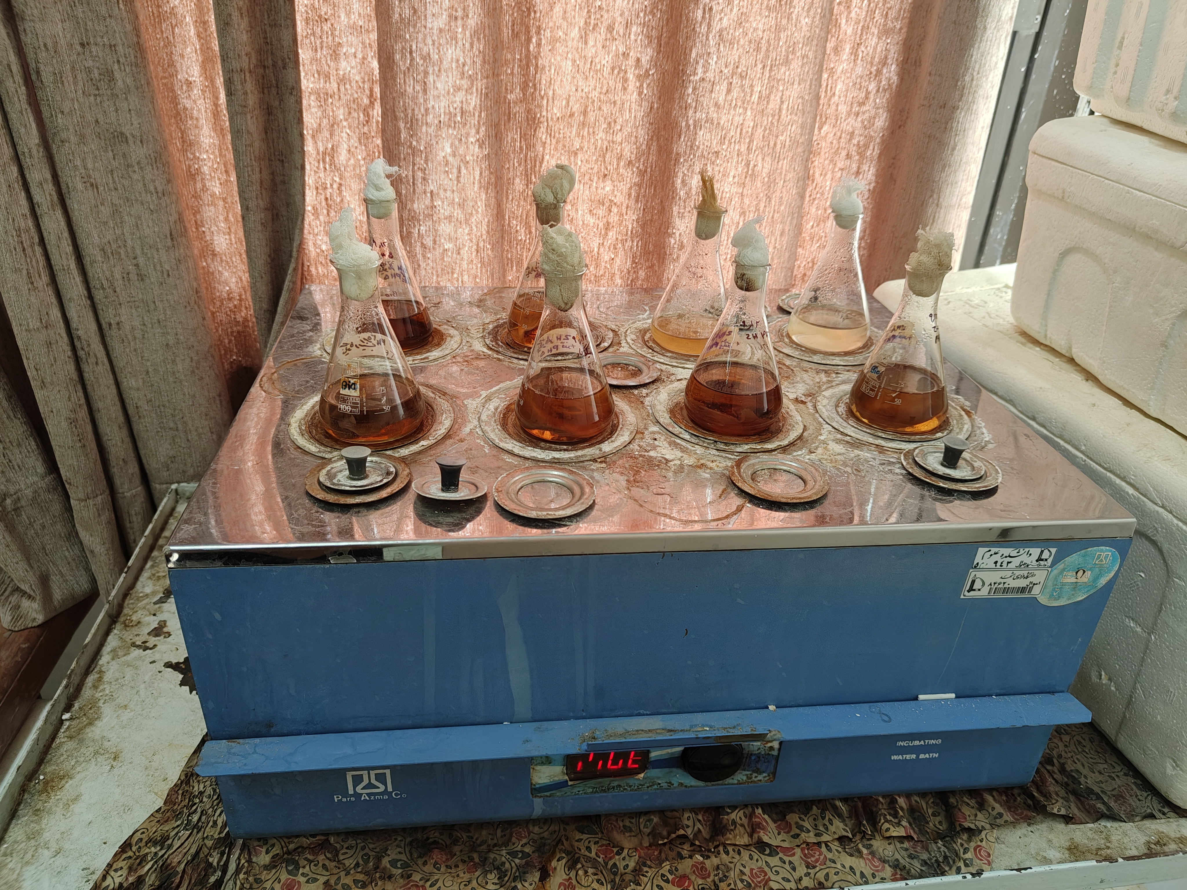   بن ماری