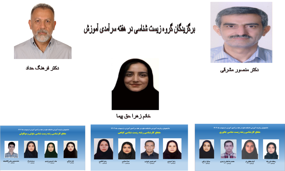 مغز 1